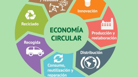 Sustentabilidad, un estilo de vida - Por Alejandra Vargas