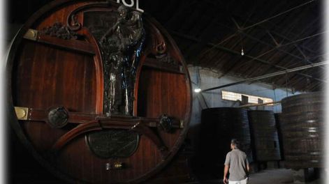 Mendoza, ¿una bodega estatal? No