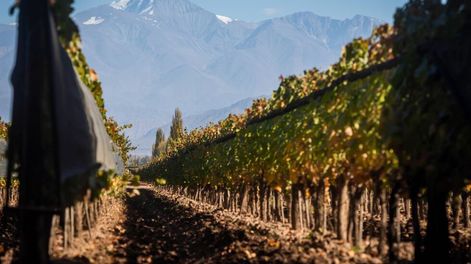 Mendoza y la  economía que no fue - Por Dante Moreno