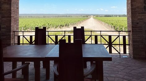 Angélica de Catena Zapata fue uno de los restaurantes que recibió una estrella Michelin.&nbsp;