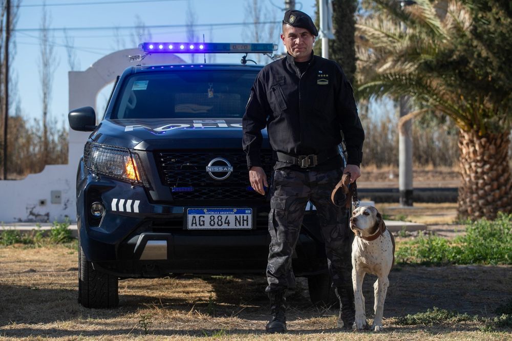 Cira, la Pointer que resolvió más de 150 rastreos, se retiró tras una década de servicio en la Policía de Mendoza (Gentileza Ministerio de Seguridad)