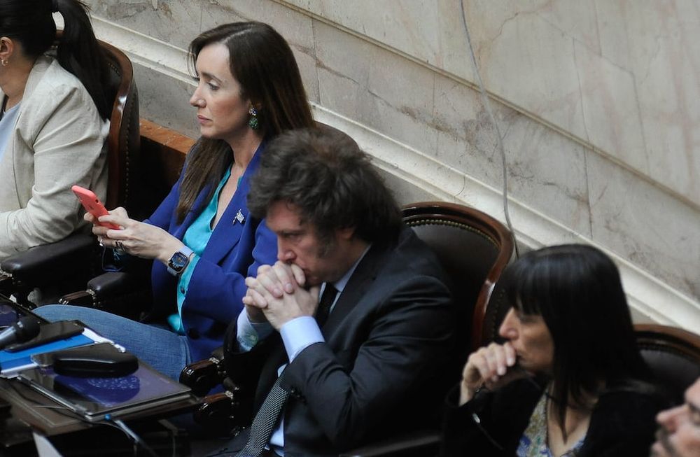 El diputado nacional y presidente electo Javier Milei (Foto: Federico López Claro)