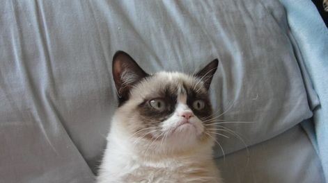 El campo minado - Por Claudio Barros