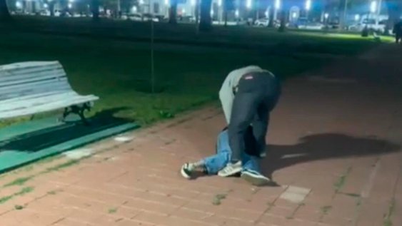Una adolescente sufrió pérdida de conocimiento y fracturas tras una agresión en una plaza.
