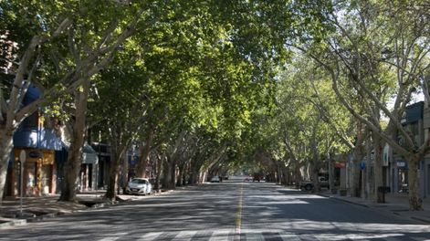 Los Andes | Desde la Secretaría de Ambiente resaltaron que la intención es terminar el recorrido en las calles el 10 de febrero; y contar con toda la información procesada antes de que comience el invierno.