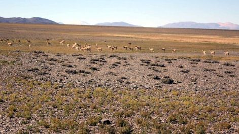 El tambo incaico de Santa Rosa en el Parque Nacional San Guillermo