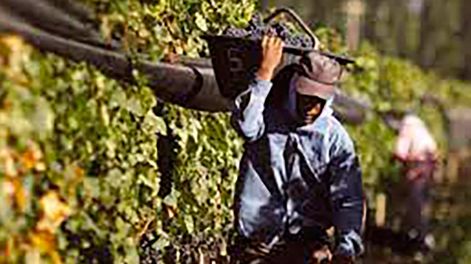 Los Andes | El reporte del Instituto Nacional de Vitivinicultura muestra que, en el acumulado entre enero y marzo de 2022 versus el mismo período de 2021 las ventas al exterior cayeron 16,3% en volumen.