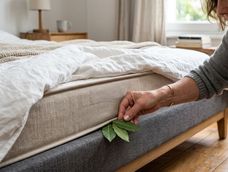 Antes de comenzar con el truco del laurel por la noche, es importante mantener la habitación en condiciones.