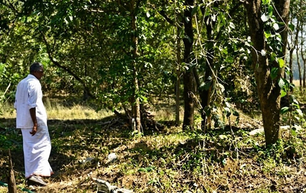 Kareem convirtió durante décadas un terreno árido en un bosque y las condiciones hídricas de su propiedad mejoraron notablemente.