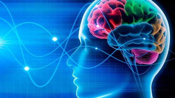Ondas cerebrales: las diferentes formas en que piensa el cerebro antes de morir