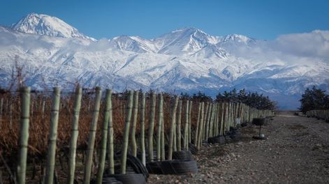 Guarda 14 | Imagen ilustrativa / Archivo. Foto: Ignacio Blanco / Los Andes.