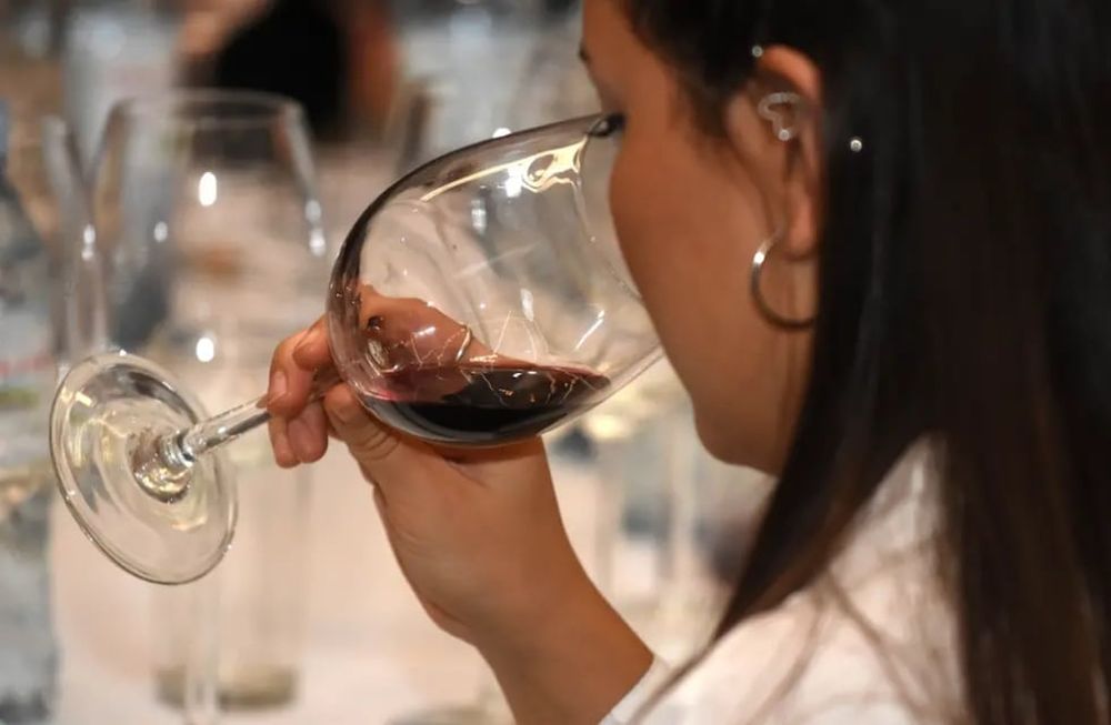“Celebrando al Malbec 2024″: una nueva edición con sabor a feria