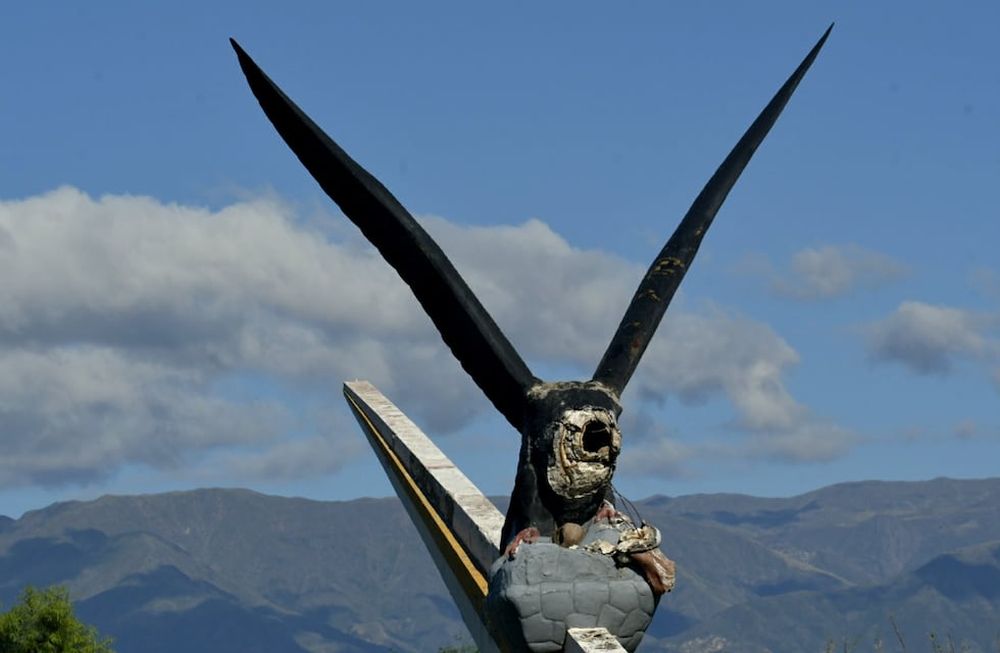 En defensa del cóndor: la familia del creador confía en que no se lo retire, pero están en alerta. Foto: Archivo Los Andes.