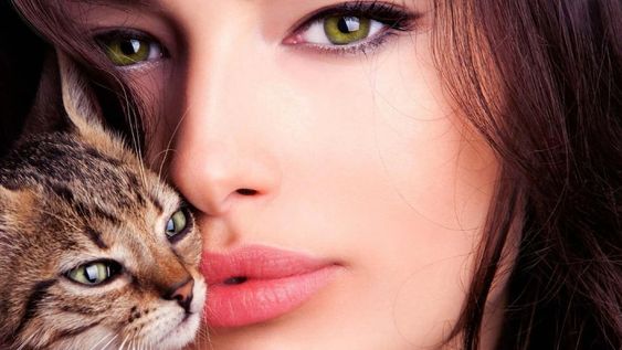 ¿Los gatos entienden mejor a las mujeres?