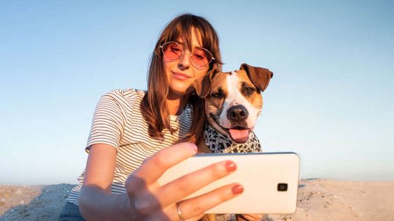 A través de la inteligencia artificial, un traductor para mascotas es algo que suena cada vez más posible.