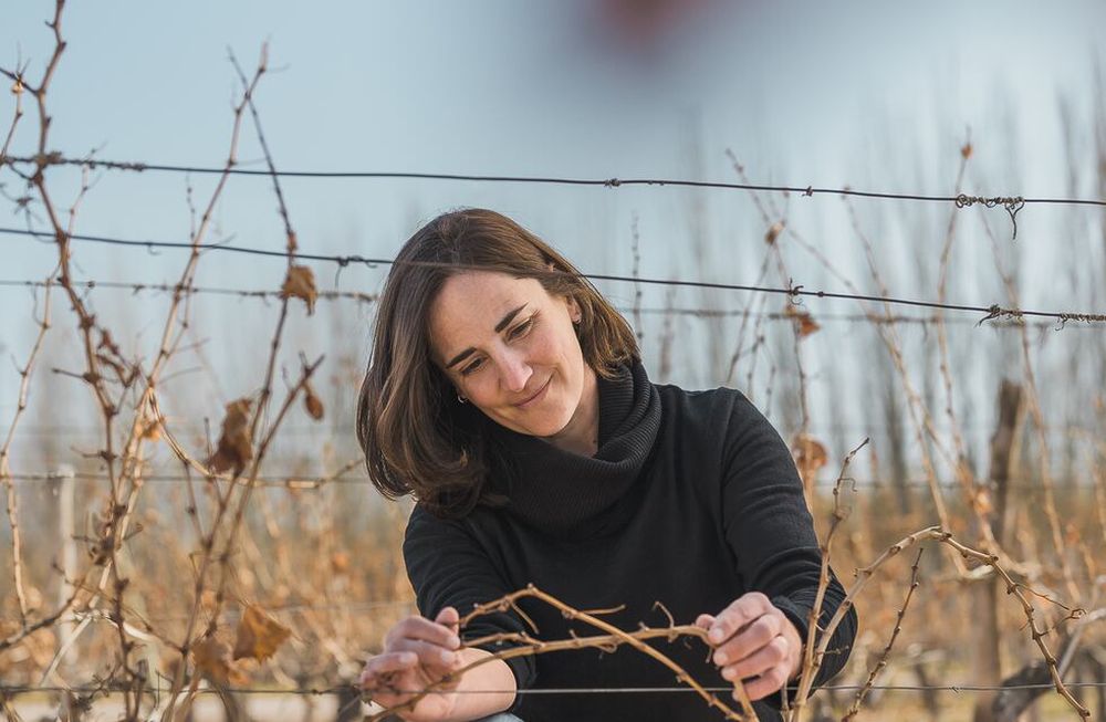 Jimena Castañeda es gerente Agrícola de las bodegas del Grupo Molinos (Nieto Senetiner, Cadus y Ruca Malén). - Gentileza