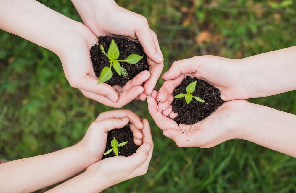 Cifras y datos relevantes del primer Congreso Internacional de Investigación, Ciencia y Universidad