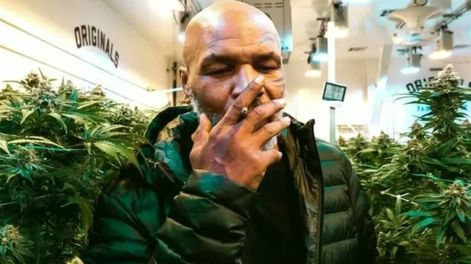 Entre plantas de marihuana y miles de dolares: el exboxeador Mike Tyson