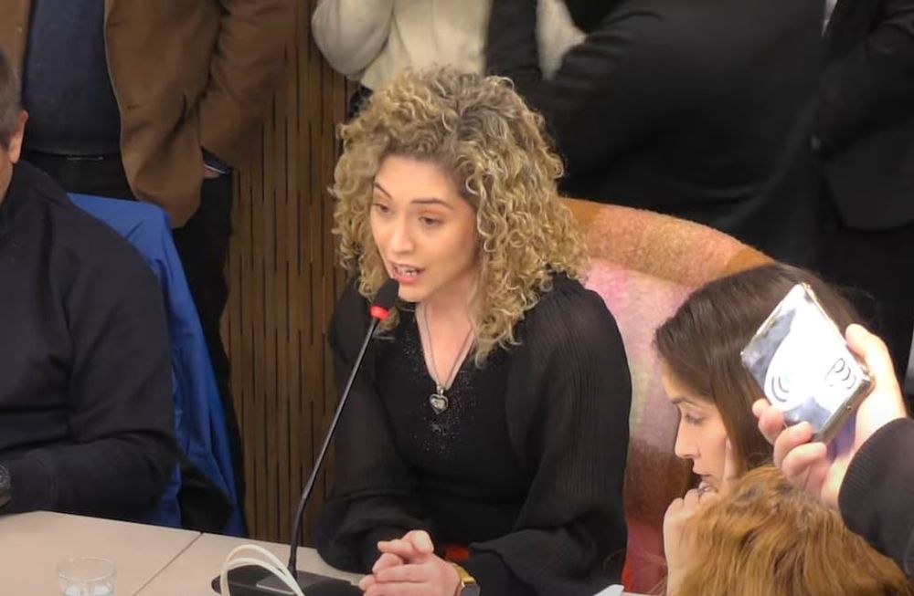 La diputada nacional Lourdes Arrieta. Foto: Captura Youtube Cámara de Diputados de la Nación.