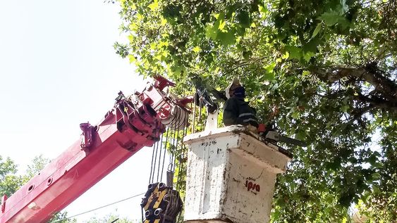 Cronograma de arbolado y bacheo para la primera semana de junio