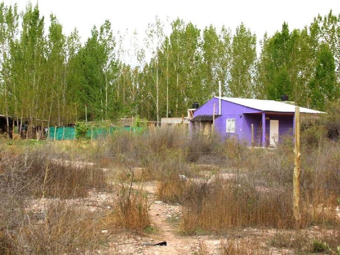 Blanqueo de construcciones clandestinas