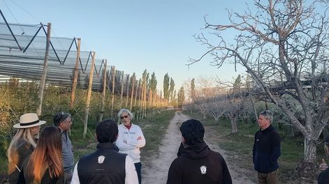 Los Andes | Ingenieros agrónomos israelíes, de la empresa Netafim, visitaron Mendoza para compartir experiencias sobre riego eficiente y protección contra heladas. Foto: Gentileza