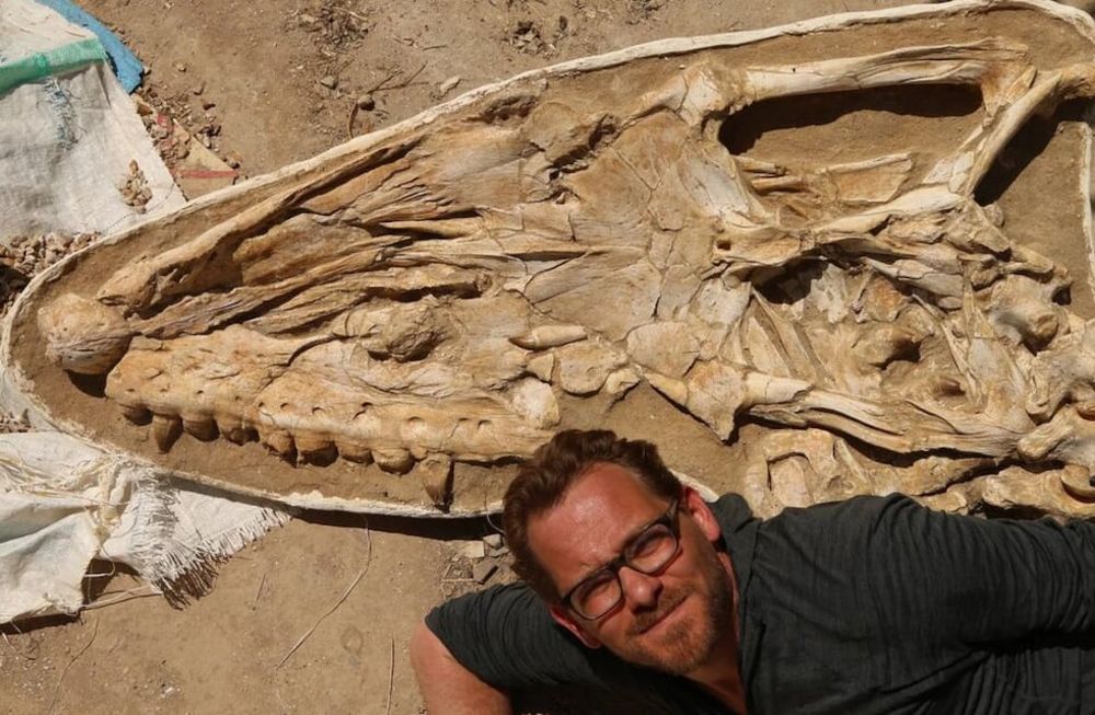 El principal autor de la investigación Nick Longrich, de la Universidad de Bath, del Reino Unido junto a los restos fósiles del Thalassotitan atrox en Marruecos.