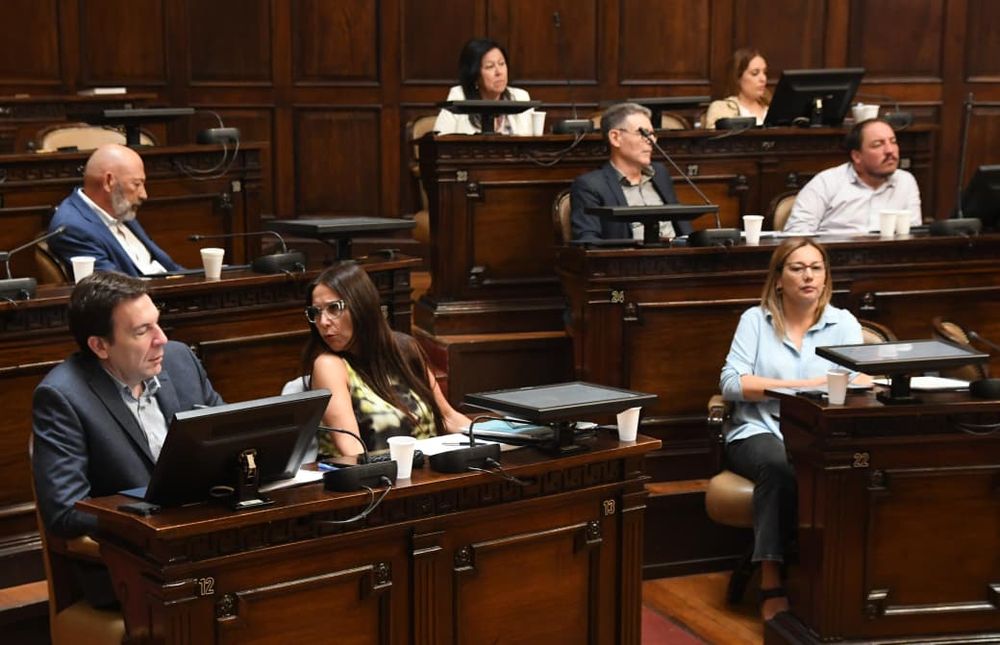 Parte del bloque de senadores del Peronismo.