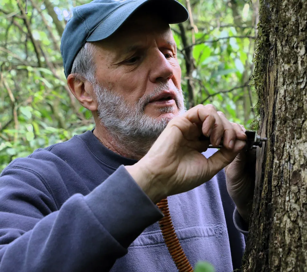 Sensores. Ricardo Villalba verificando el correcto funcionamiento de un dendrómetro (instrumento de precisión diseñado para  medir el crecimiento y los cambios de diámetro de árboles  y arbustos).