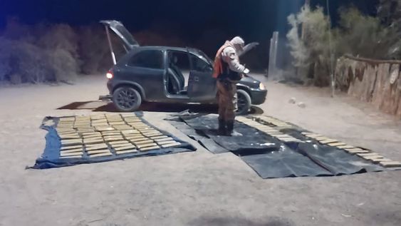 La marihuana decomisada en Lavalle. / Gentileza Ministerio de Seguridad