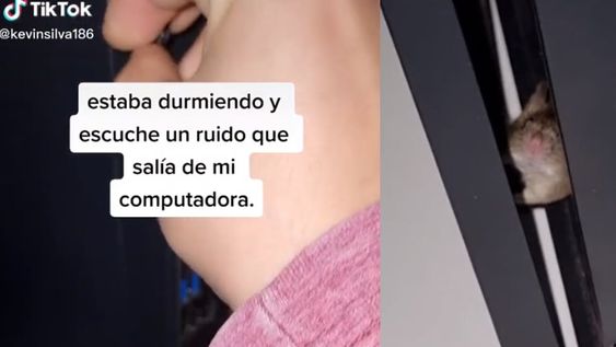 Mi suposición es que el ratón ingresó a través de la ranura que dejó esa tarjeta gráfica y quedó atrapado”, se animó a concluir Kevin en su video. Foto: capturas @kevinsilva186