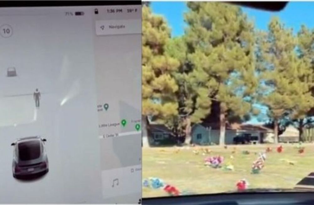Tesla capta un fantasma en un cementerio/ Captura de TikTok
