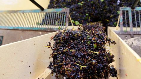 Hay intención de derogar la norma que dio vida al acuerdo de diversificación Mendoza - San Juan.