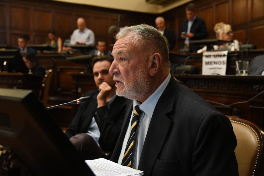 El senador provincial del PRO, Mart&iacute;n Rostand.
