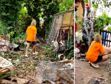 Hallaron más de 200 animales embalsamados y rescataron mascotas maltratadas en una vivienda.