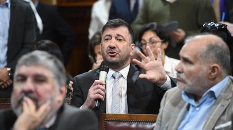 El senador entrerriano Edgardo Kueider en la Comisión de Energía del Senado (Foto: Comunicación Senado)