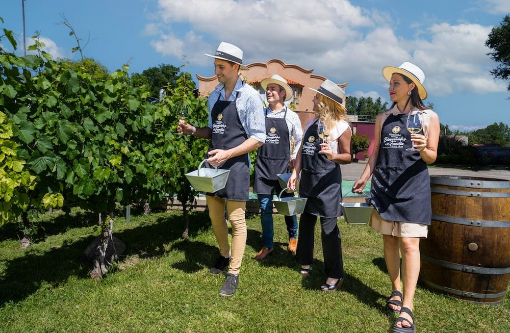 Bodega Hinojosa propone un tour emotivo y sensorial imperdible