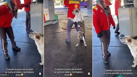 Los Andes | Bigotes es un perro que se divierte con las chicas que trabajan en una estación de servicio de Mendoza. Foto: Captura de video