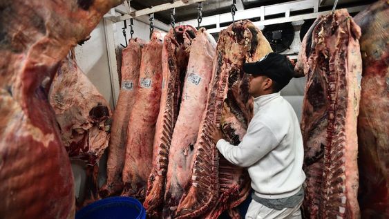 La exportación de carne se mantiene pero los precios están deprimidos. (Foto Pedro Castillo / La Voz).