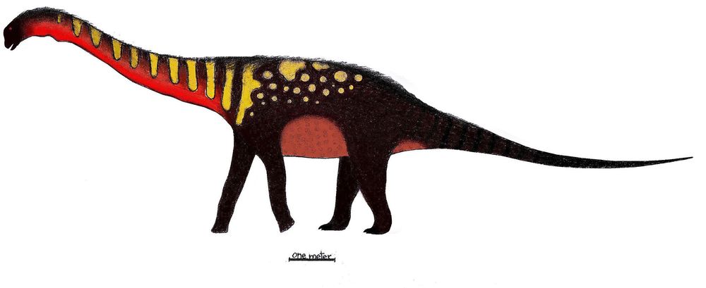 Kwetekzaur.