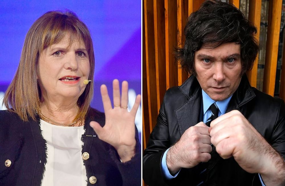 Bullrich le contestó a Milei: “Las segundas marcas son las que más se venden”