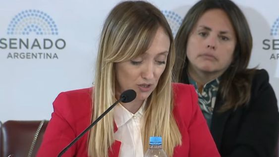 La senadora mendocina le hizo varias preguntas a Lijo.