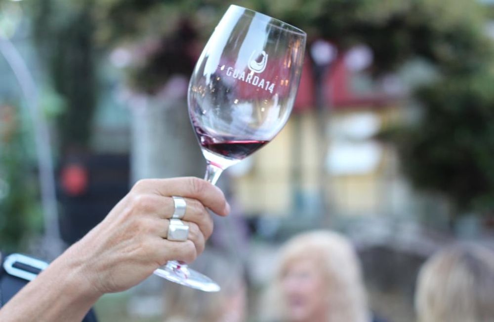 Ya podés comprar tus entradas para la gran feria de vinos premiados de Guarda14