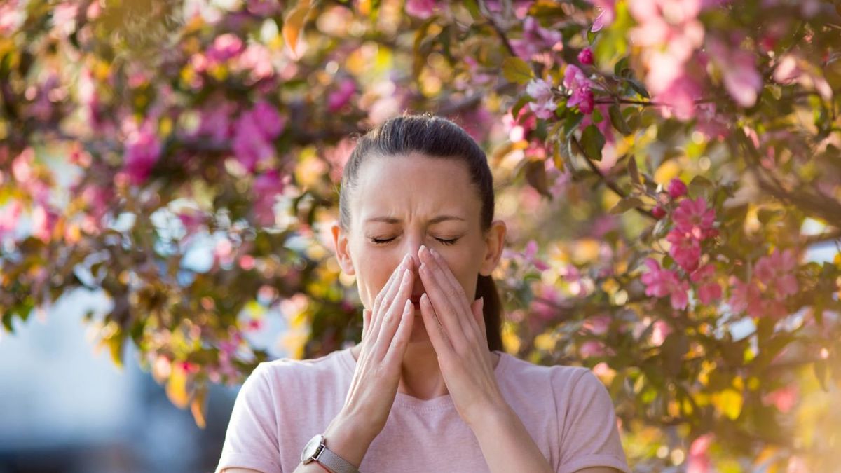 Adios estornudos: los 4 consejos claves para prevenir la alergia ante el cambio de estación