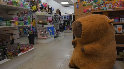 La fiebre del capibara conquista Mendoza: peluches, mochilas y juguetes son los más pedidos por los chicos.