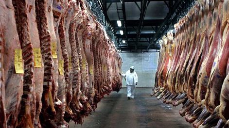 Los Andes | Crecen 30% las exportaciones de carne vacuna