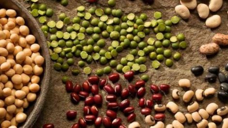 El gobierno nacional propone los lunes sin carne