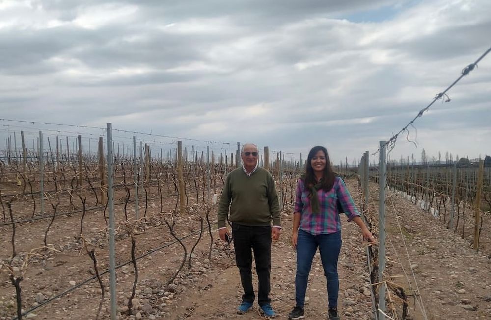 Domingo Fazzio, productor referente del valle de Uco junto a la representante zonal, Ing. Agr. Gimena Fratti, en un cultivo de viñedos donde ha aplicado Gemmit TOP con un exitoso control. También ha tenido éxito en el control de durazno.