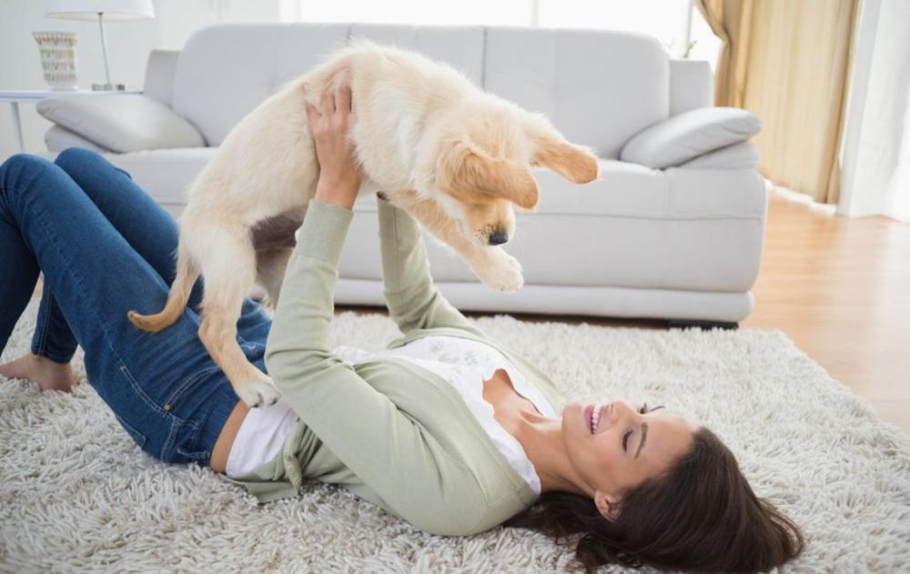 Seguí estos pasos sencillos para controlar la hiperactividad de tu perro.