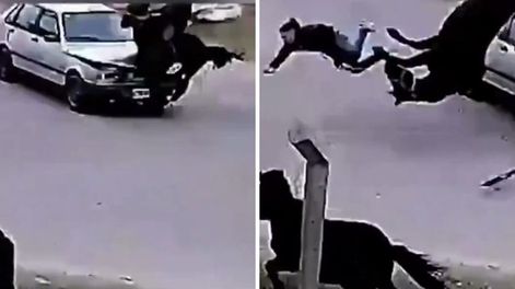 Un adolescente le sacó el caballo a su vecino como broma y generó un incidente vial.